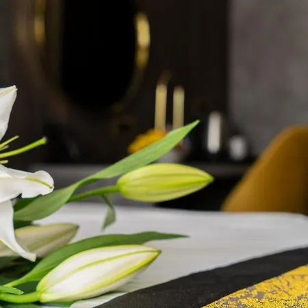 Hotel Pasha 4*