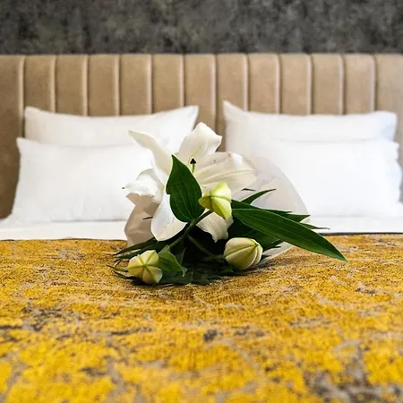 Pasha Hotel 4*
