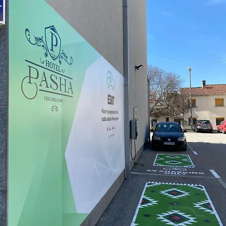 Pasha